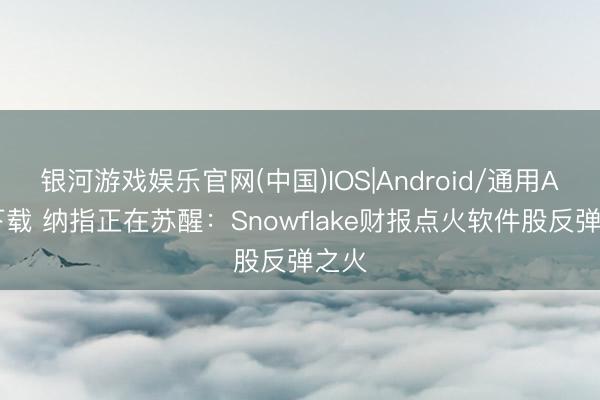 银河游戏娱乐官网(中国)IOS|Android/通用APP下载 纳指正在苏醒：Snowflake财报点火软件股反弹之火