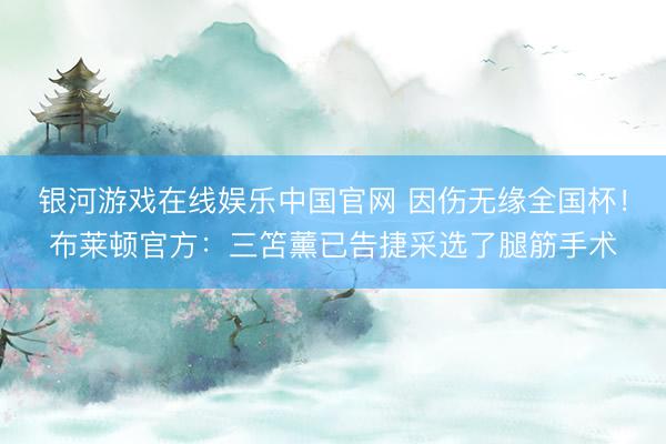 银河游戏在线娱乐中国官网 因伤无缘全国杯！布莱顿官方：三笘薰已告捷采选了腿筋手术