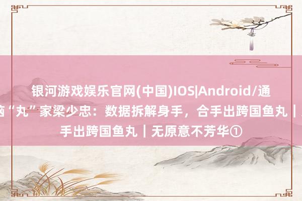 银河游戏娱乐官网(中国)IOS|Android/通用APP下载 食脑“丸”家梁少忠：数据拆解身手，合手出跨国鱼丸｜无原意不芳华①